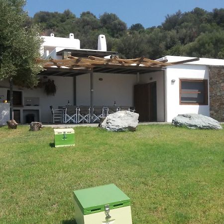 Skinammos Eco Villas Marmari  Zewnętrze zdjęcie